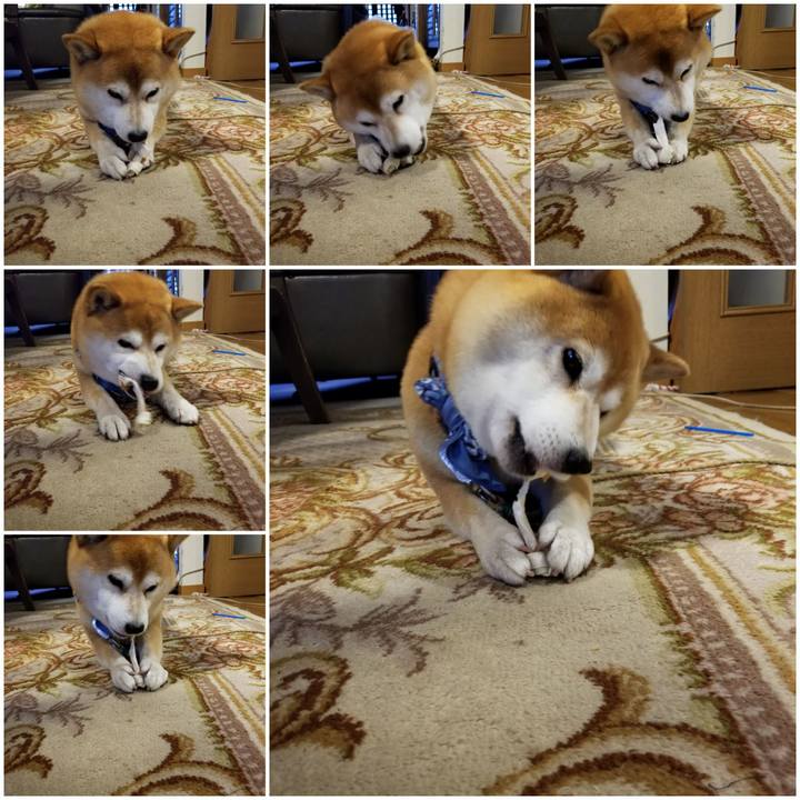 C313de35 b0d5 4b46 aac7 781aecae87a6 1559035398318