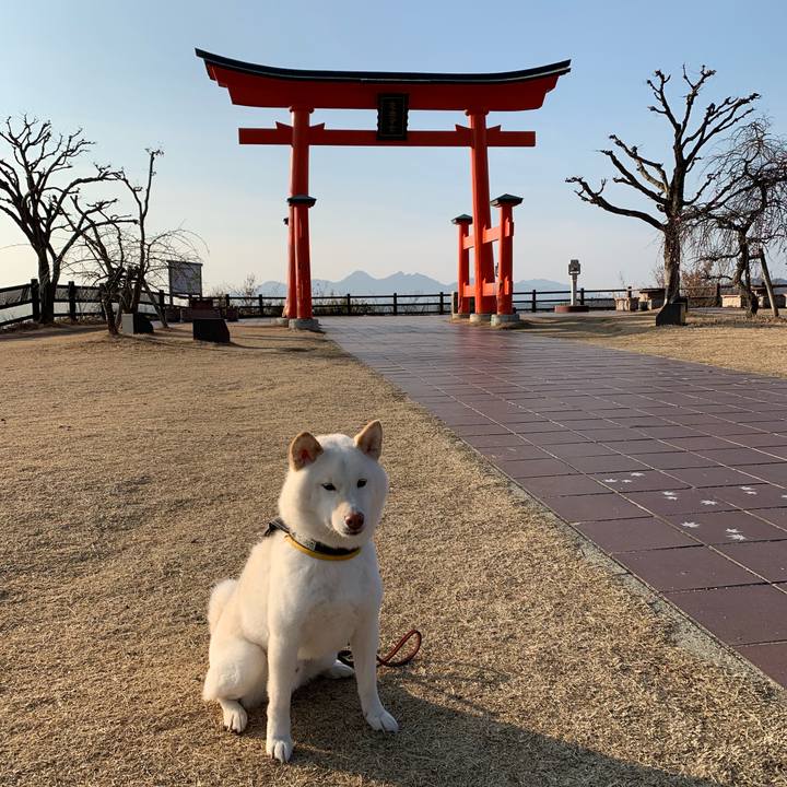 C313f142 0547 4937 80cf 24317d3c2df8 1550365997811