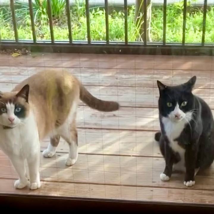 C313f744 9ebe 4de7 96b6 4b7abd339a96 1743155466363