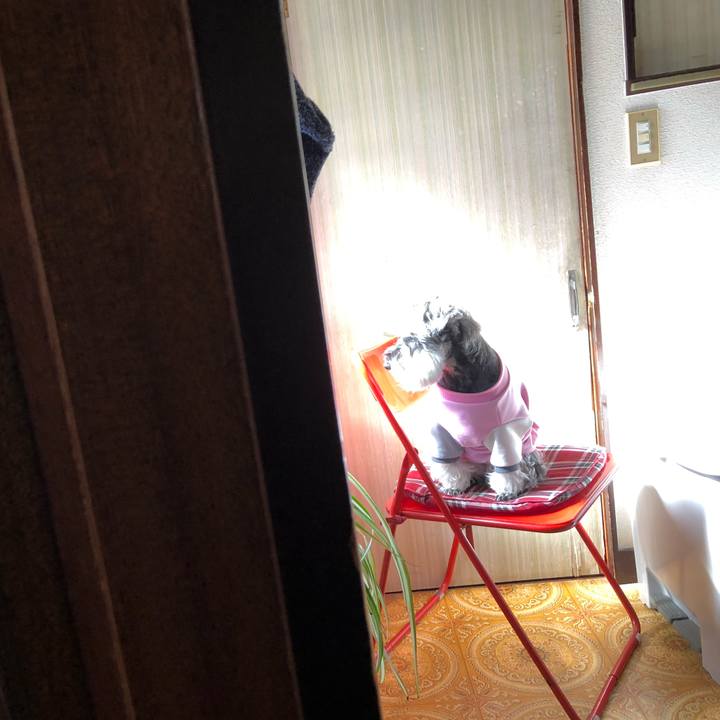 C313fde1 0a74 479d 9b47 93b67e015a94 1681000320792