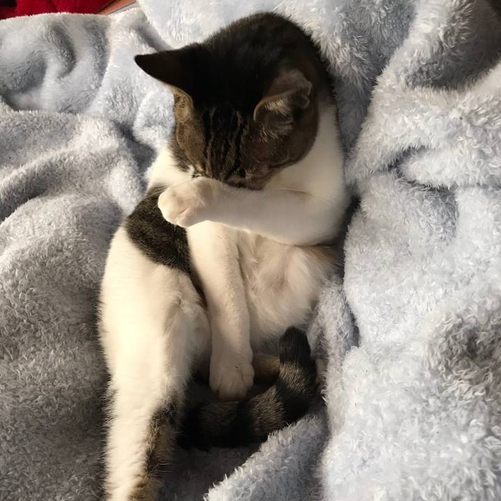 C3140fe0 6648 44ef 9f02 666fde8fef50 1512090437063