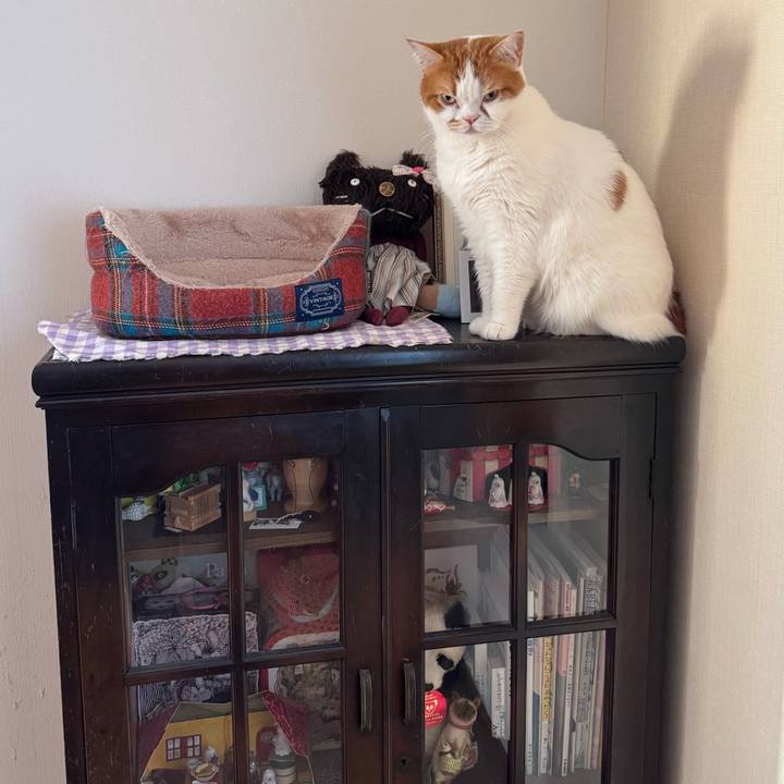 C314abb4 79a9 427d a34e 47dc1812ea50 1774092952600