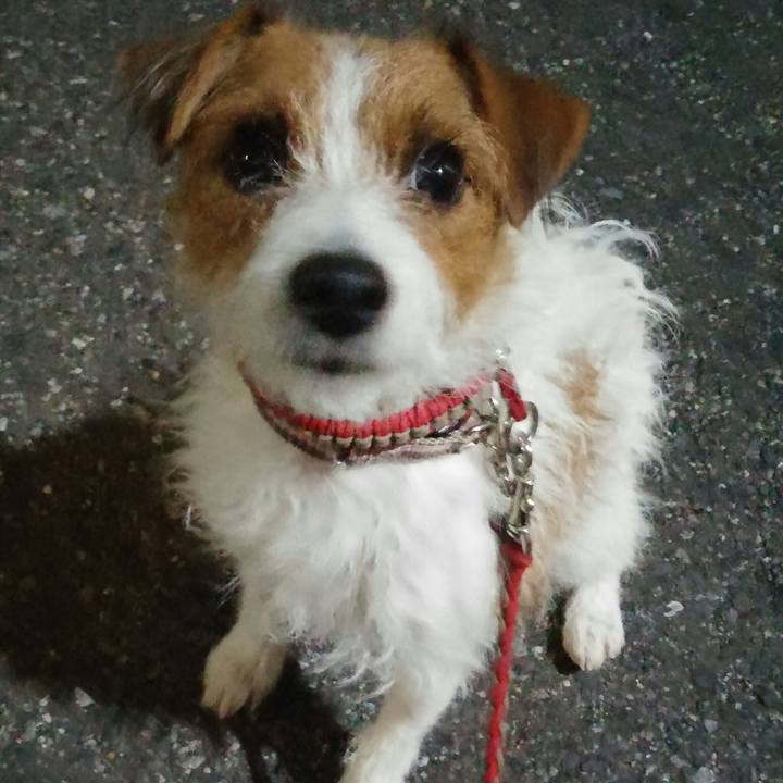 C314dadd c97f 4b42 826a 2e2335042d7c 1541151566739