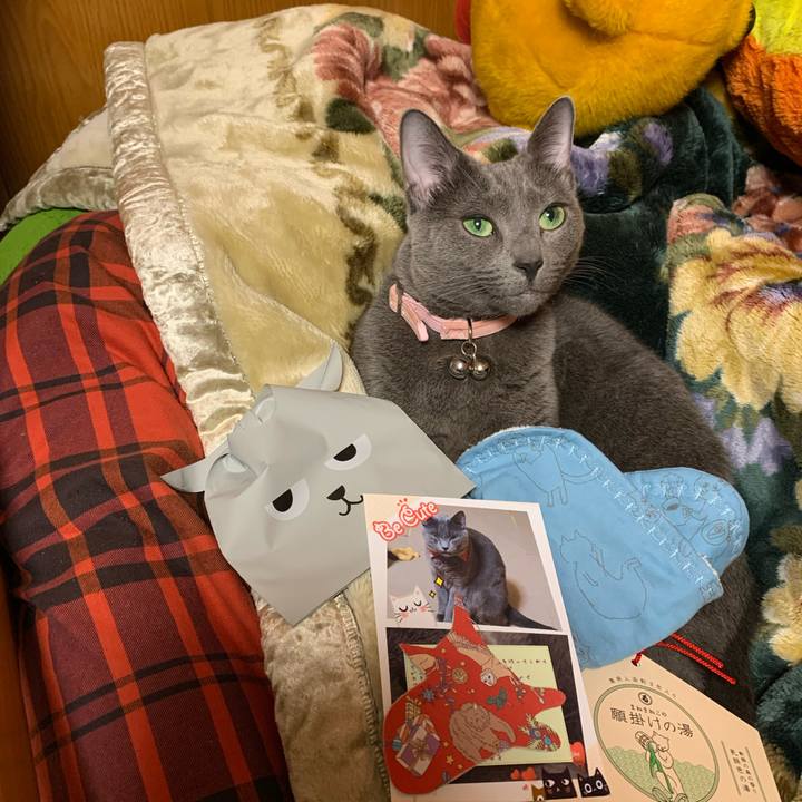 C314f24a 3a15 4abc 92b8 445502ade65e 1576842582631