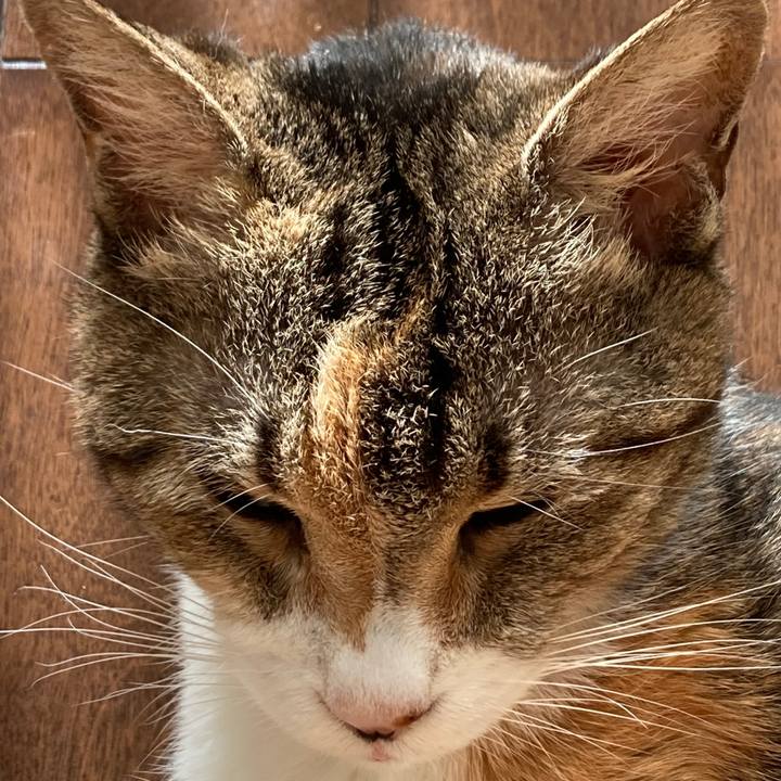 C3150007 a13b 4a86 a9f1 de1054f16ee8 1766615334257