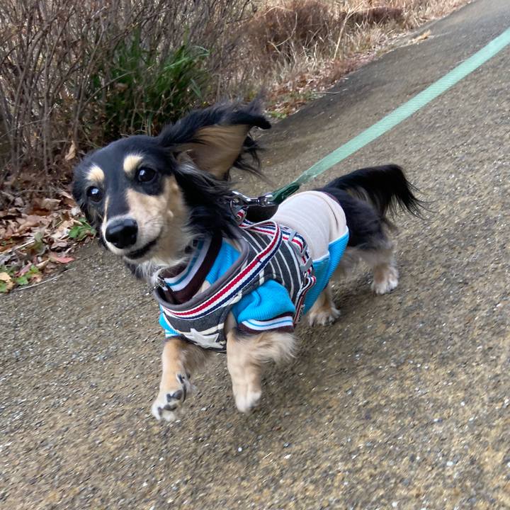 C3153a32 f3b3 4153 97b5 9cea9708758b 1737354051073