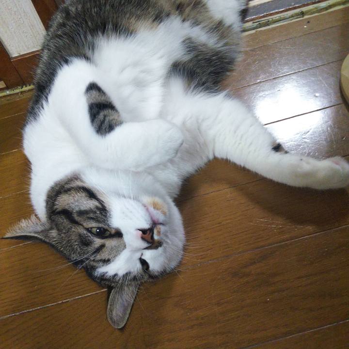 C3153e75 1f6e 4af1 af39 55c945107228 1659266939011