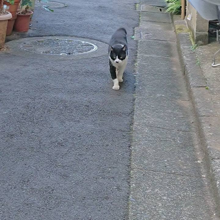 C3154c5e 64c7 4749 b280 e81e074cad71 1693609714645