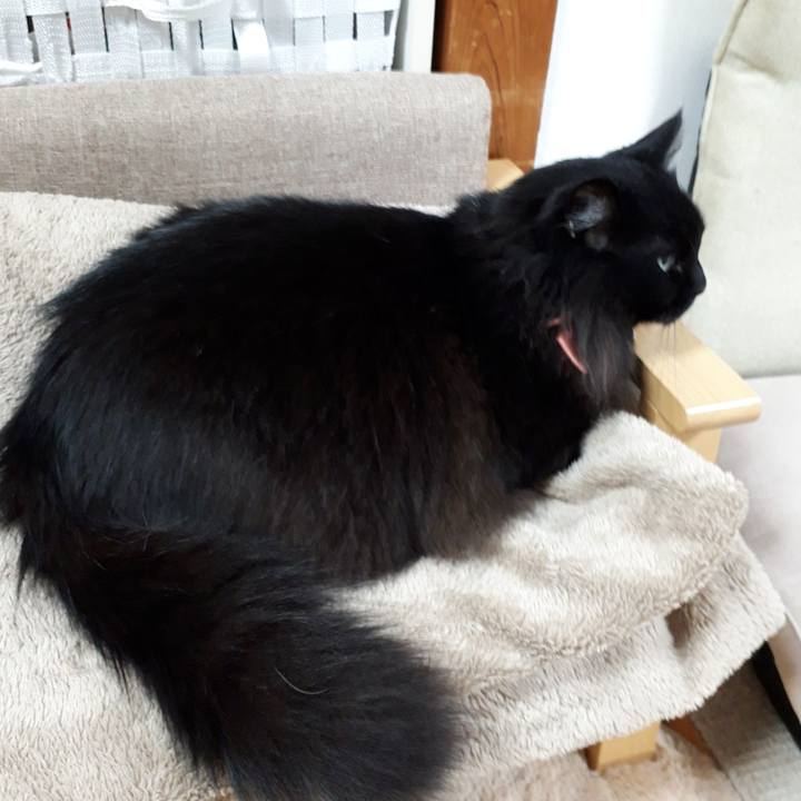 C315eb3c ff46 446d b353 6c8e5f5571f9 1521145243595