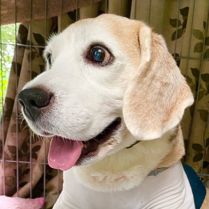 C316186a 9e55 4420 aa0c 94fe51462a00 1655785061187