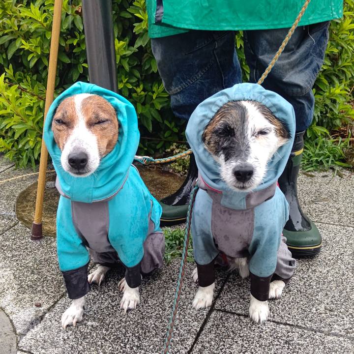 C316b20b 2fbd 4f79 9775 ae06b2fcc80a 1718665073975