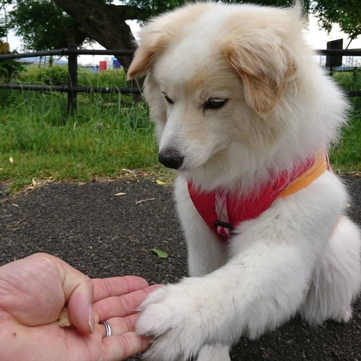 C31701b9 1b4b 4c7c 8e9c a28999f31165 1527025963611