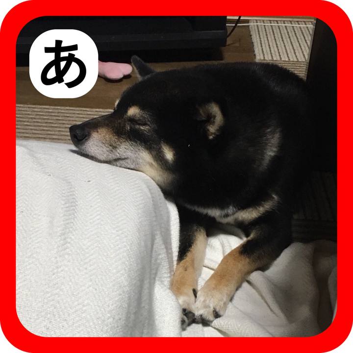 C3171ee6 53fb 4764 9adc 3f1a9946c4fc 1515202018991