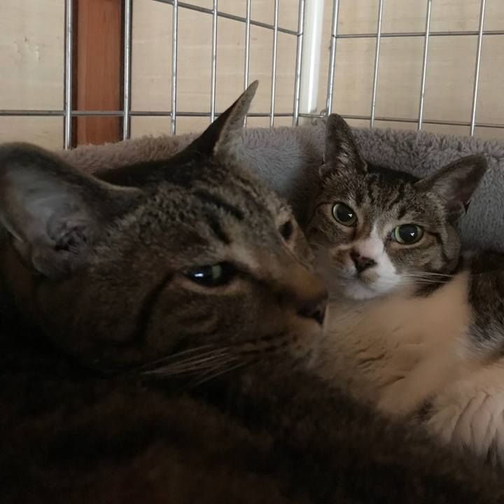 C3172016 ccc3 45b4 8678 a16863be09ba 1528248671845