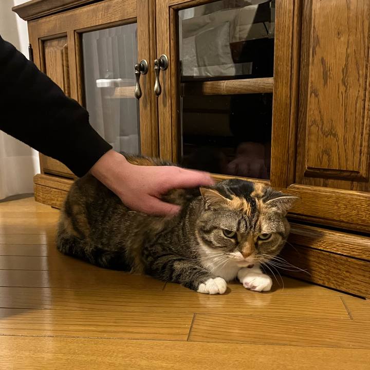 C31748d7 fee7 4bd1 9ec3 01f6b3969535 1767531651029