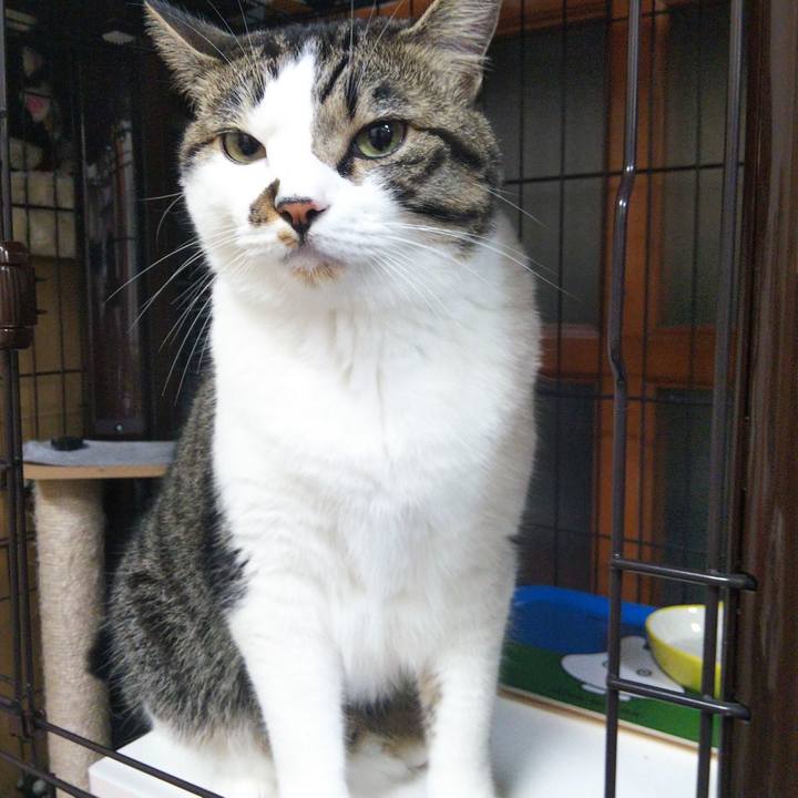 C3175378 7ac6 48c7 9aa2 a7c8b9588946 1657888143375