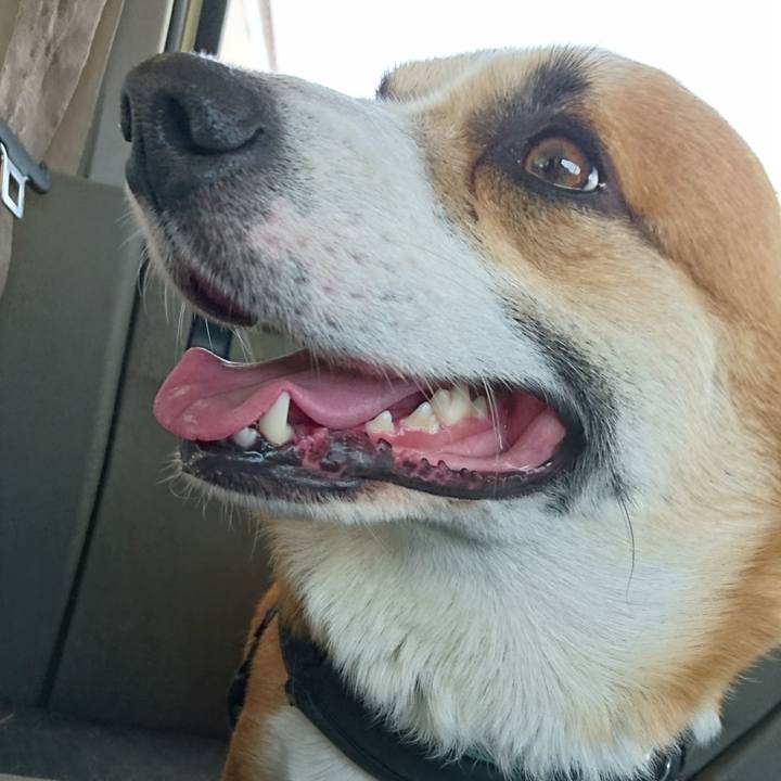 C317569a 3a28 4bf5 88ae 7d9d5315affa 1659187745677