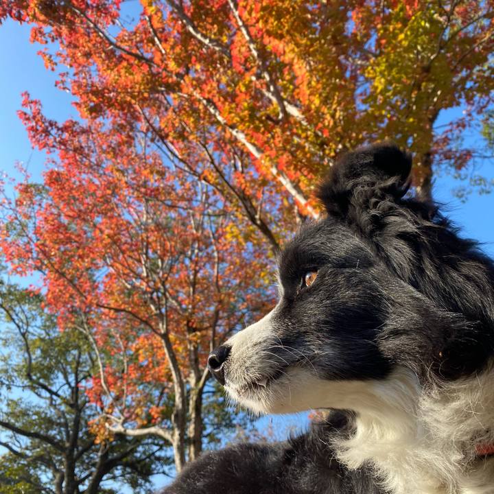 C3175d44 087e 4f79 88f3 5cc65930e0ee 1637368818182