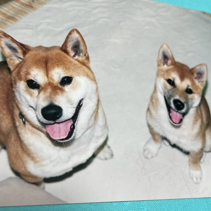 C317884a 30a0 4639 aee4 16322b4cd4e3 1640426348876