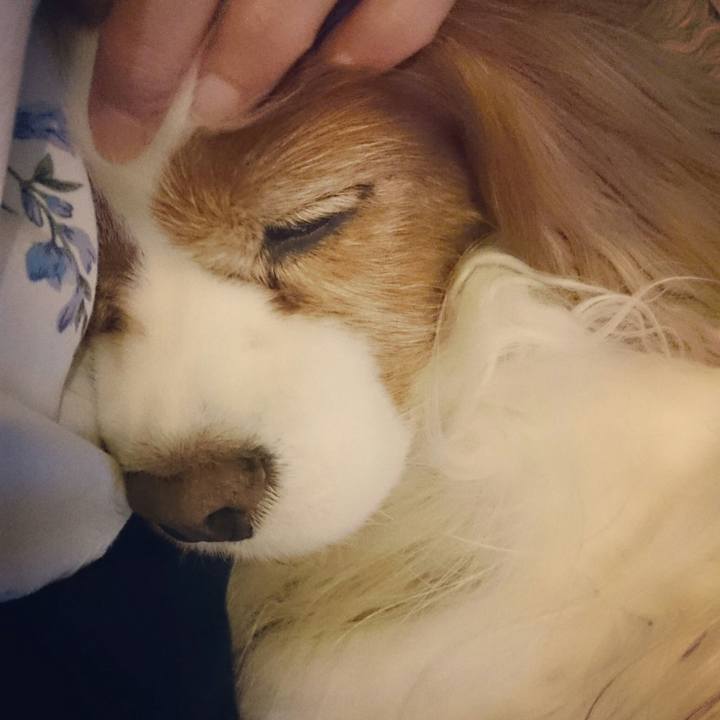 C317abc4 2ed1 4716 9dc7 de1e75f2d903 1528973553517