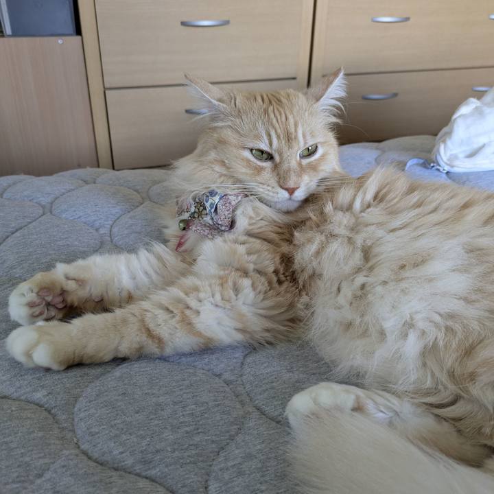 C317d2d4 0203 4109 b9bc 5aa526cfc7dd 1757300546570