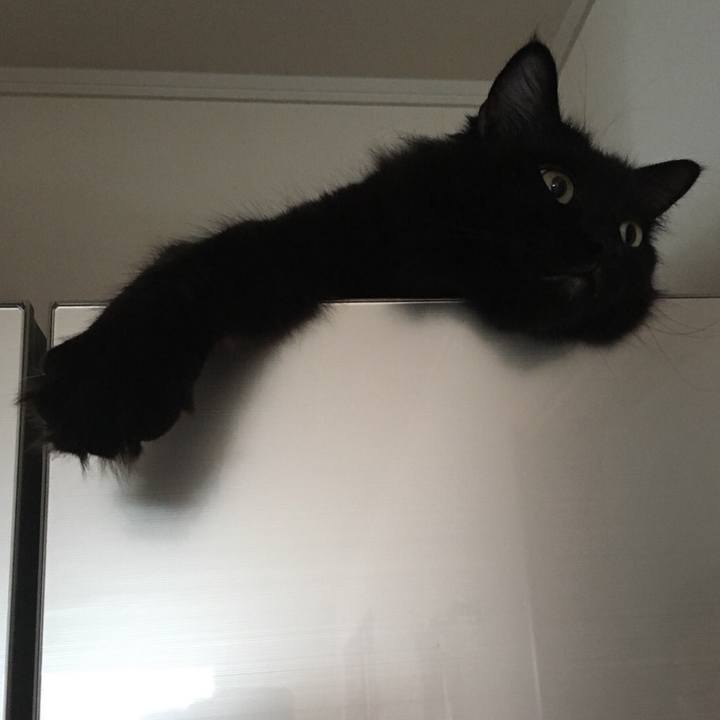 C317dc36 6920 4a6a 90c9 66e1e7845d83 1514085951428