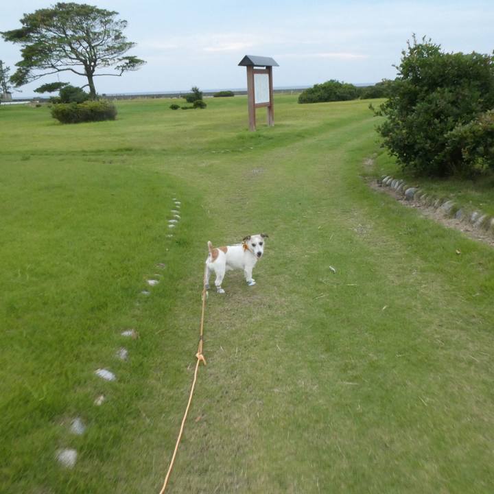 C317e3ad ec00 4f1b 906f 8fbf6413048a 1601804085142