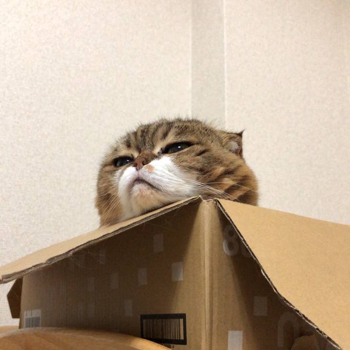 C3180862 2199 428c 8216 d8948378e6e2 1536735327479