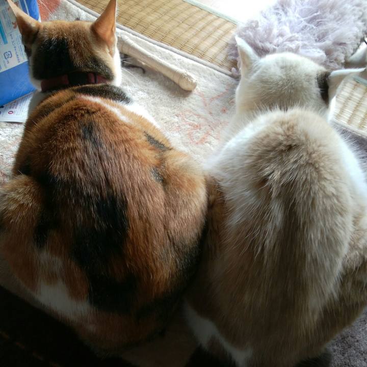 C3180ae2 42aa 420a 8ca6 a3c259770aff 1514269600768