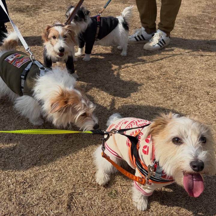 C3180b6e 947d 4fcf 8e6b 02a75ee8632c 1771060244115