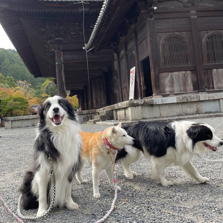 C3181a2e 3b8a 4cbe bd54 abe79b6d376c 1668121671399