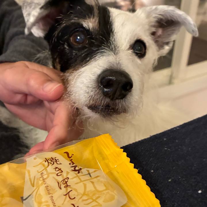 C31841af 524b 4568 8265 e33ccd43b9d6 1763116239522