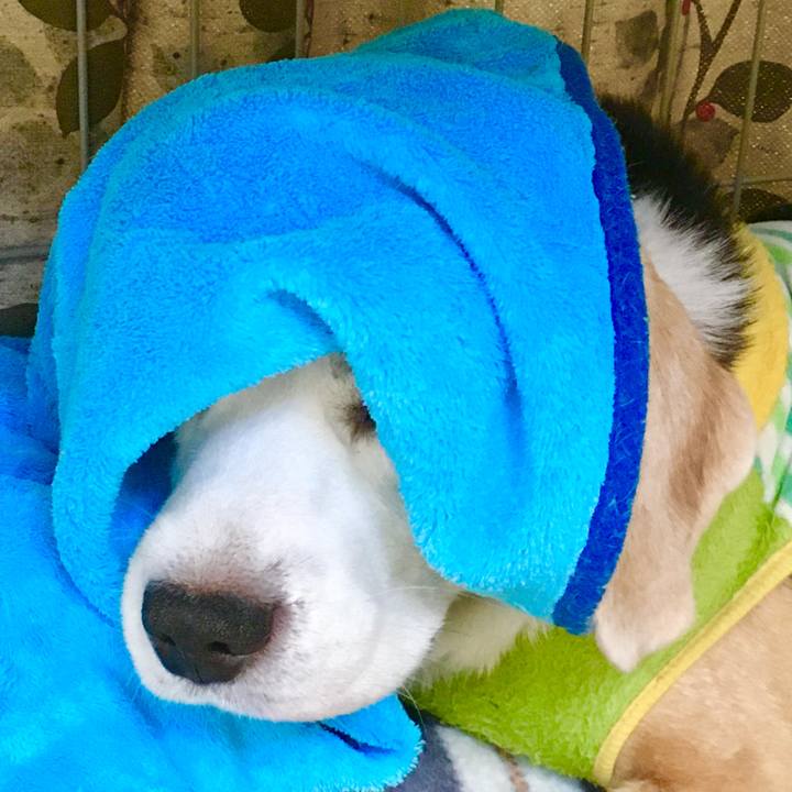 C3188a97 260b 4402 a924 11a845cdf17b 1764750283684