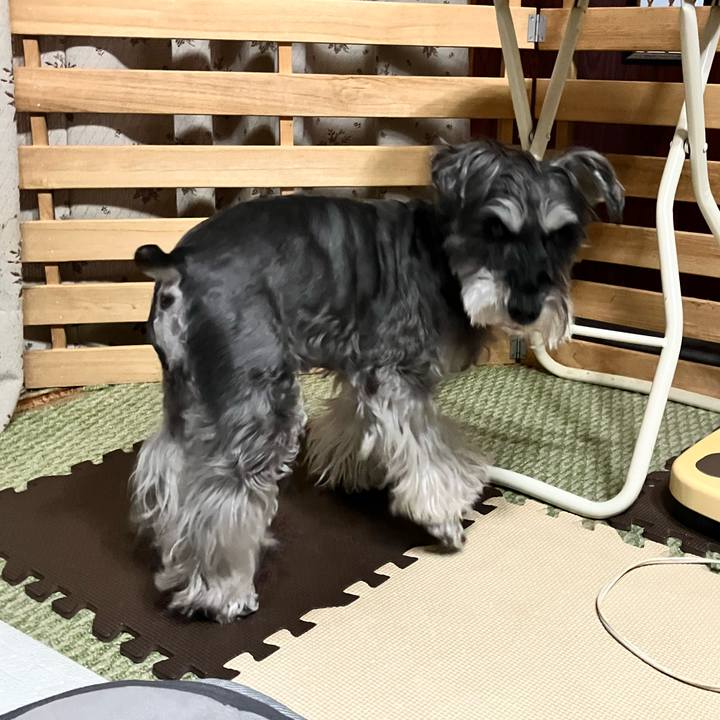 C3189591 88a5 4a89 b93b 24aad5309d84 1772893184557