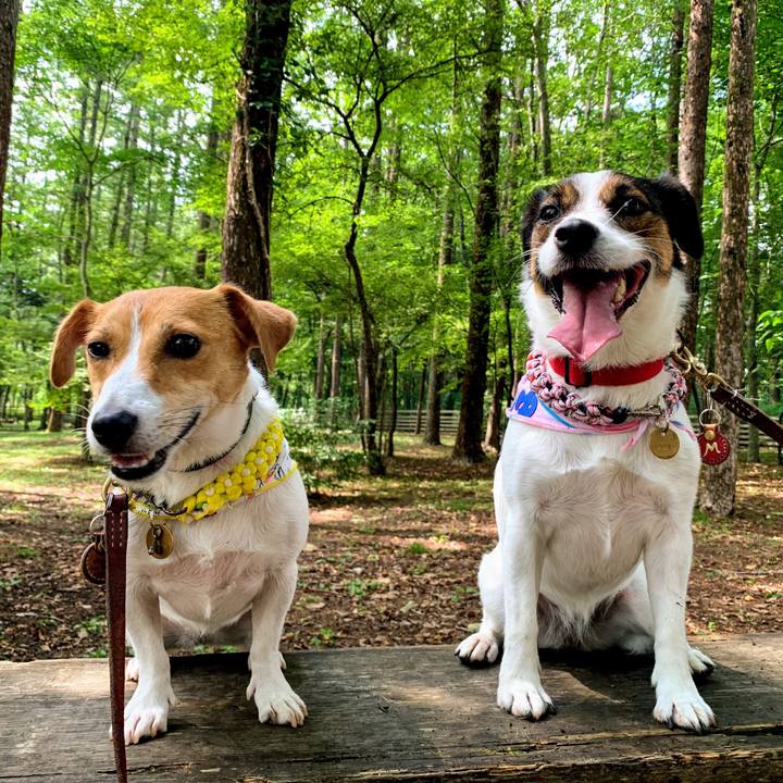 C318a61e 2c03 4c10 9814 151b25a1d1ac 1566730396938