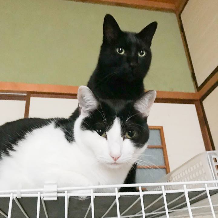 C318a7fb 11da 41eb b2eb b31b1a5e8b6b 1512482970117