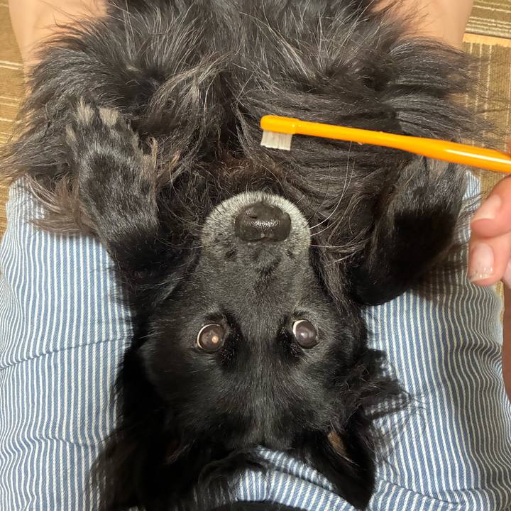 C318b40e 47f4 4f4b abc2 b4e6f51e4eb1 1756219944822