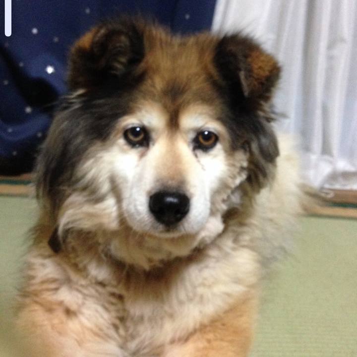 C31910fd 688d 4bb2 907e 060561b47cd5 1641033894794