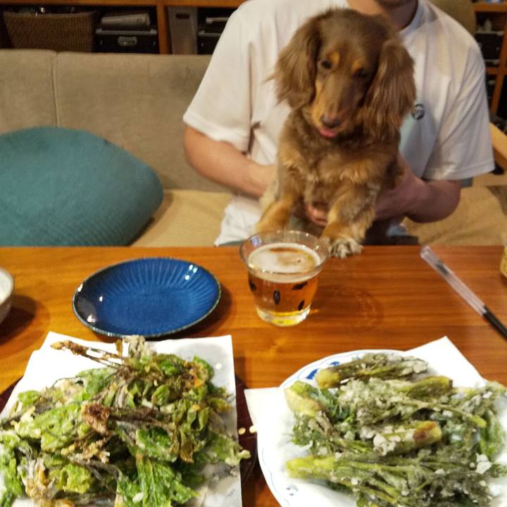 C3196369 01e1 480b 9261 8dc26faff9c1 1590846867458