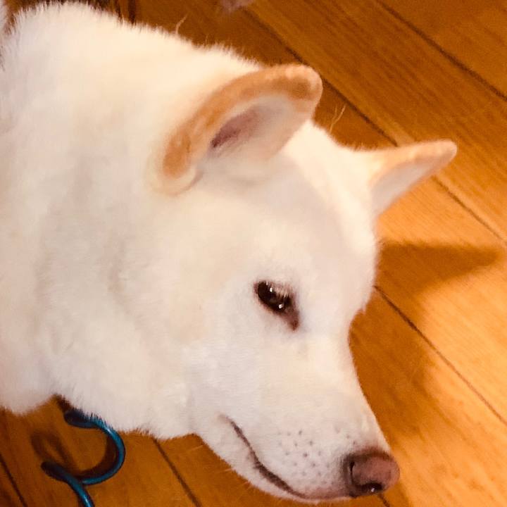 C3198935 50f5 421f 988c d6757a385034 1601846127792