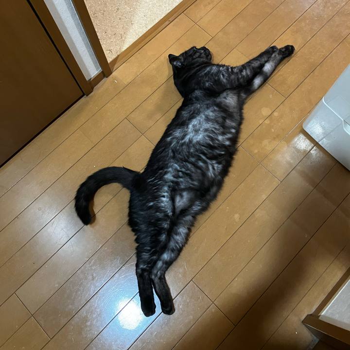 C319e960 0b74 4022 9a25 bc972d1d1d59 1724349034008