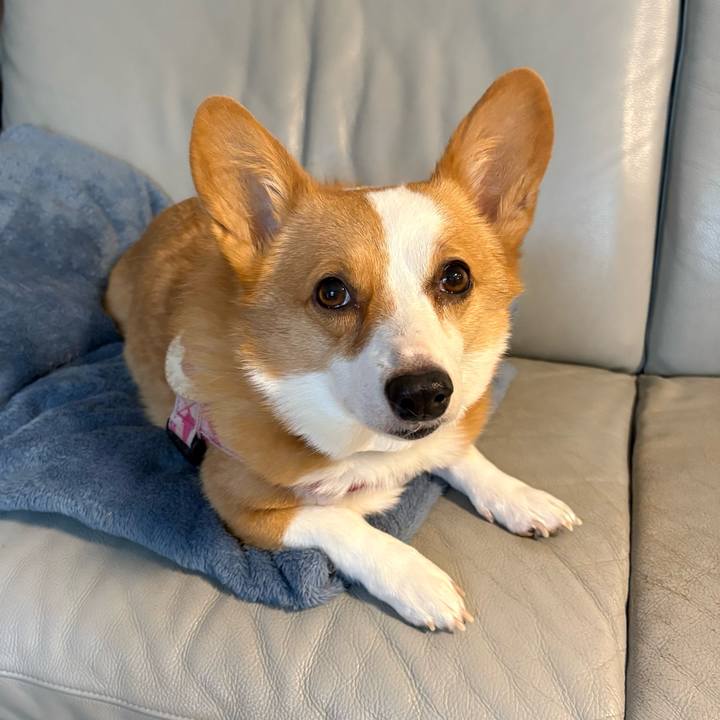 C319ed04 d5d5 4272 b63d ca8802caf6c9 1771020563326