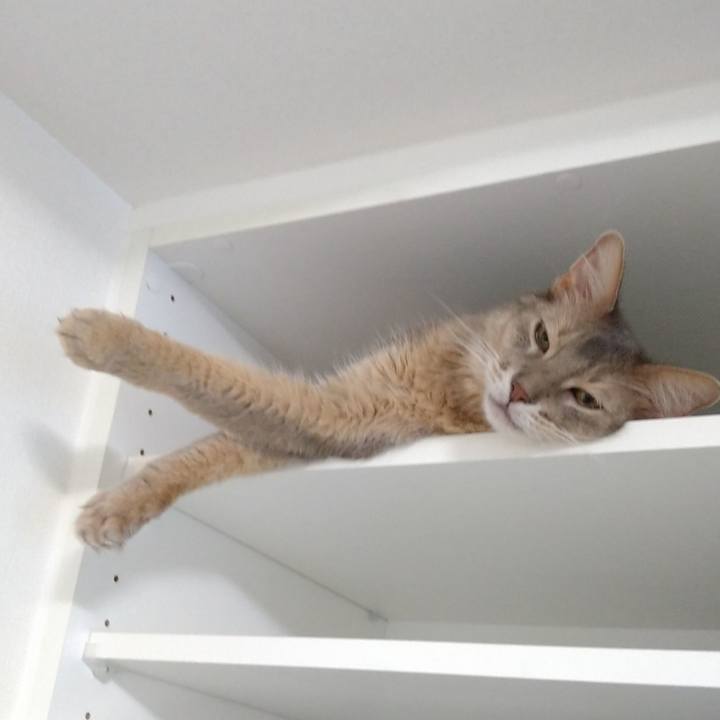 C319fb03 ccac 4031 893f c556c4be8b20 1627391535658