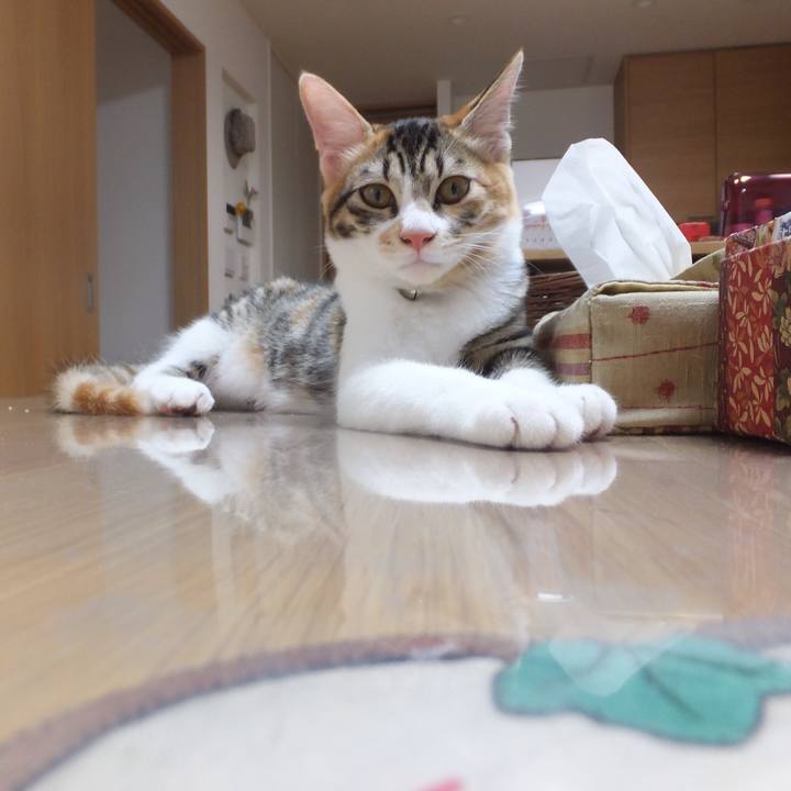 C319fc42 655f 4eab 9591 e9979d33a094 1633656334088