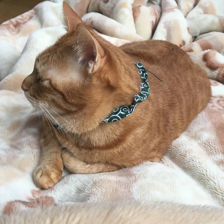 C31a99b0 ff1d 4f1e 964e b30ee5986b44 1553379089039