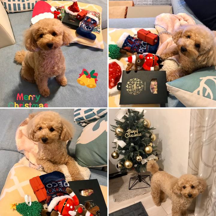 C31a9e0b e88b 4041 b1f9 f4705a71f9dd 1577281934083