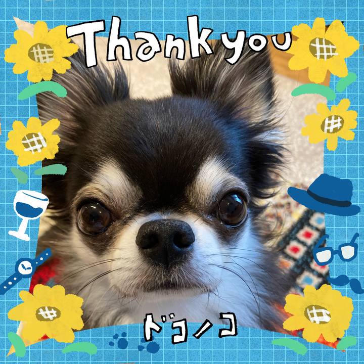 C31aa05a 8151 488b a8cc 10345eb72b9d 1717641686728