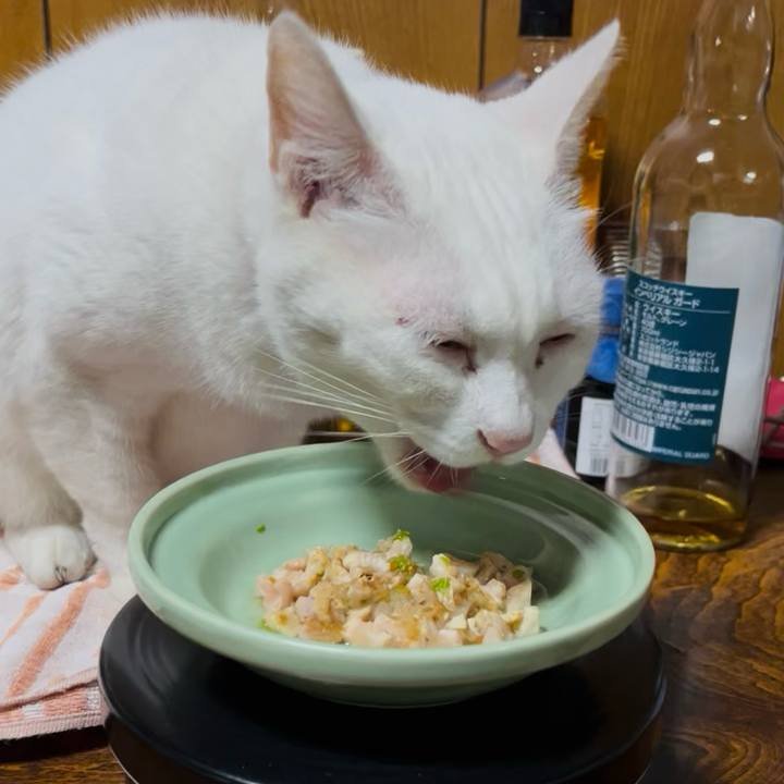 C31ab5d0 0b97 4053 88f6 c8424ebc79da 1762001500351