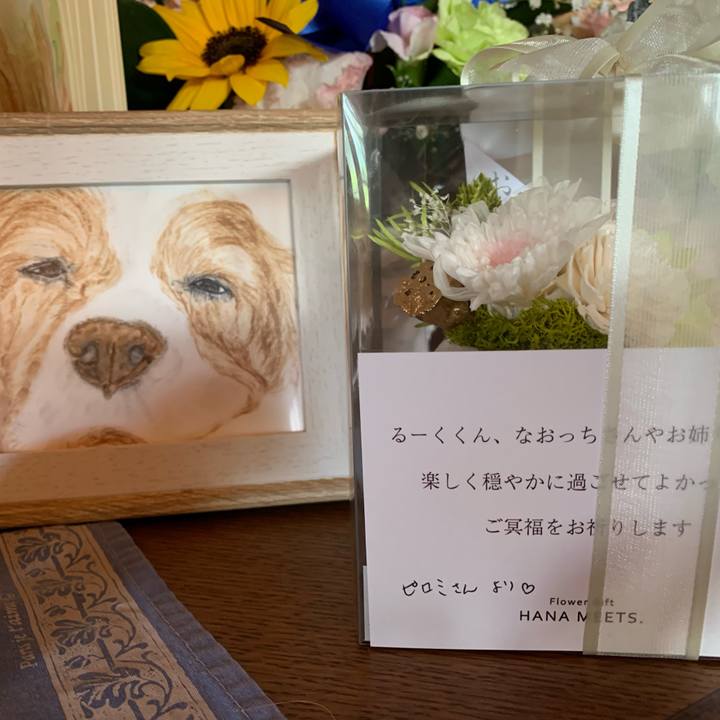 C31ab93a 8bed 4c39 a731 1b1803caa40c 1623973335489