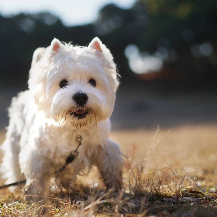 C31ac4d8 aef1 4b55 b979 11054e40fb25 1512945362377